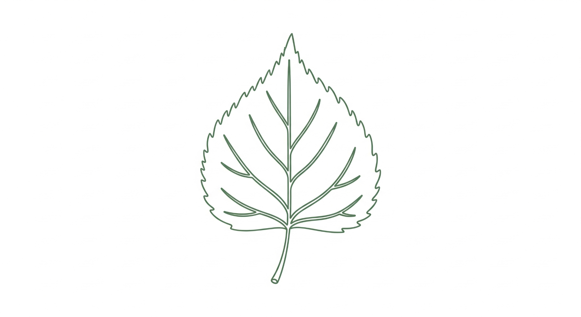 Birch leaf